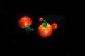 Cherry tomatoes closeup isolated on black background Royalty Free Stock Photo