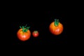 Cherry tomatoes closeup isolated on black background Royalty Free Stock Photo