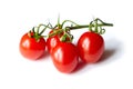 Cherry tomatoes cluster isolated on white. Fresh vegetable. Four red cherry tomatoes on branch Royalty Free Stock Photo