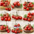 Cherry tomatoes - collage Royalty Free Stock Photo