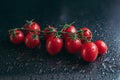 Cherry tomatoes covered by water drops isolated on black background Royalty Free Stock Photo