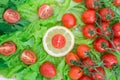 Cherry tomatoes covered with water drops lie on the basis of green lettuce leaves