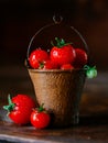 Cherry tomatoes in a decorative rusty old bucket on a dark rustic background Royalty Free Stock Photo