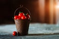 Cherry tomatoes in a decorative rusty old bucket on a dark rustic background Royalty Free Stock Photo