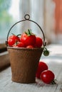 Cherry tomatoes in a decorative rusty old bucket on a dark rustic background Royalty Free Stock Photo