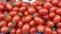 Cherry tomatoes at a farmer`s market Royalty Free Stock Photo