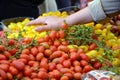 Cherry Tomatoes Farmer Market Royalty Free Stock Photo