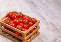 Cherry tomatoes Royalty Free Stock Photo