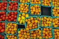 Cherry tomatoes in green containers