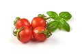 Cherry Tomatoes with green fresh basil leaf isolated on white background Royalty Free Stock Photo