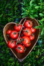 Cherry tomatoes in heart shape plate on old wooden surface, space for text Royalty Free Stock Photo