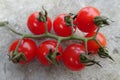 Cherry tomatoes isolated over grey background Royalty Free Stock Photo