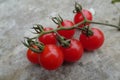 Cherry tomatoes isolated over grey background Royalty Free Stock Photo