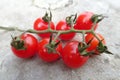 Cherry tomatoes isolated over grey background Royalty Free Stock Photo