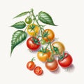 Cherry tomatoes isolated on white background. Ai generative illustration Royalty Free Stock Photo