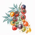 Cherry tomatoes isolated on white background. Ai generative illustration Royalty Free Stock Photo