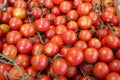 Cherry tomatoes at local market Royalty Free Stock Photo