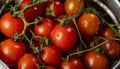 Cherry tomatoes in metalware, red vegetables. Fresh natural organic food Royalty Free Stock Photo