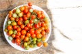 Cherry tomatoes with the name Solanum lycopersicum L. call that scientific var cerasiforme. Royalty Free Stock Photo