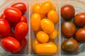 Tomatoes in a plastic container