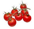 Cherry tomatoes Royalty Free Stock Photo