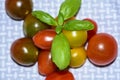 Cherry Tomatoes and Sprig of Basil Royalty Free Stock Photo