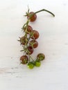 Cherry tomatoes with stem and branch on wood board, copy space, vertical, close up Royalty Free Stock Photo