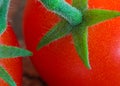 Cherry Tomatoes on Stem Royalty Free Stock Photo