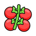 Cherry tomatoes vector design in modern design style, ready to use vector
