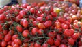 Cherry tomatoes, vegetables from the farmers market Royalty Free Stock Photo