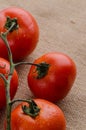 Cherry tomatoes vine Royalty Free Stock Photo