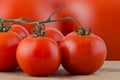 Cherry tomatoes vine Royalty Free Stock Photo