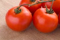 Cherry tomatoes vine Royalty Free Stock Photo