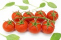 Cherry tomatoes on vine Royalty Free Stock Photo