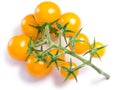 Cherry tomatoes on vine, paths