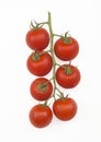 CHERRY TOMATOES ON THE VINE Royalty Free Stock Photo