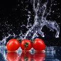 cherry tomatoes in water splash on black background Royalty Free Stock Photo