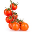 Cherry tomatoes on a white background upraised