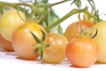 Cherry tomatoes `white mirabelle`