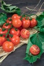 Small red cherry tomatoes on a branch, lying on a hay on an old wooden table in a rustic style, selective focus. Royalty Free Stock Photo