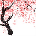 Cherry tree blossom Royalty Free Stock Photo