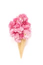 Cherry tree blossom flower ice cream waffle cone Royalty Free Stock Photo