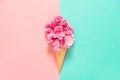 Cherry tree blossom in ice cream waffle cone Pink flowers Royalty Free Stock Photo