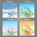Cherry tree in a different seasons Royalty Free Stock Photo