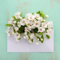 Cherry tree. Envelope with spring flowers over green wooden background. Springtime design Royalty Free Stock Photo