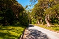 Cherry Tree Hill, a popular historic avenue in the North Eastern part of Barbados, Royalty Free Stock Photo