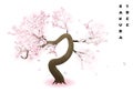 Cherry tree. Realistic pink blossoming spring japanese sakura. Vector illustration