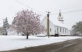 Cherry Tree in the Snow Royalty Free Stock Photo