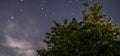 Cherry tree under a beautiful starry sky