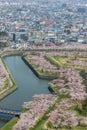 Cherry trees along the moats of Fort Goryokaku as seen from Goryokaku Tower,Hakodate,Hokkaido,Japan in spring. Royalty Free Stock Photo